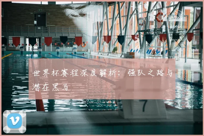 世界杯赛程深度解析：强队之路与潜在黑马