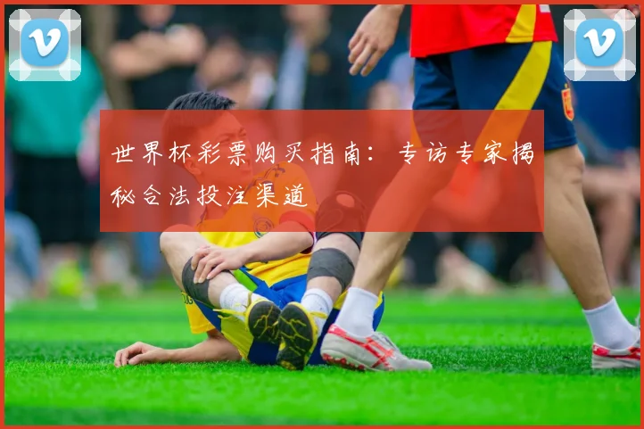 世界杯彩票购买指南:专访专家揭秘合法投注渠道