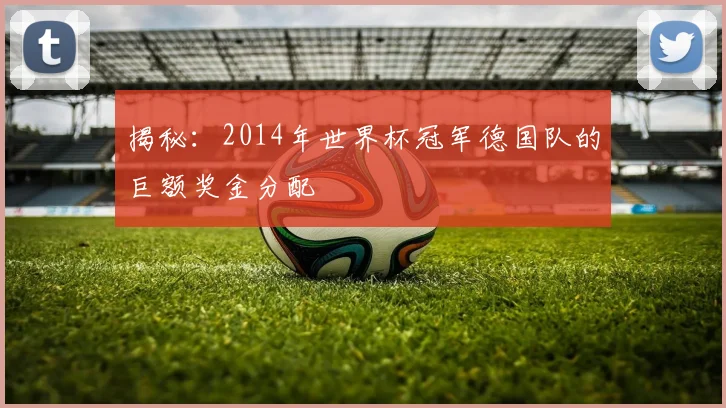 揭秘：2014年世界杯冠军德国队的巨额奖金分配