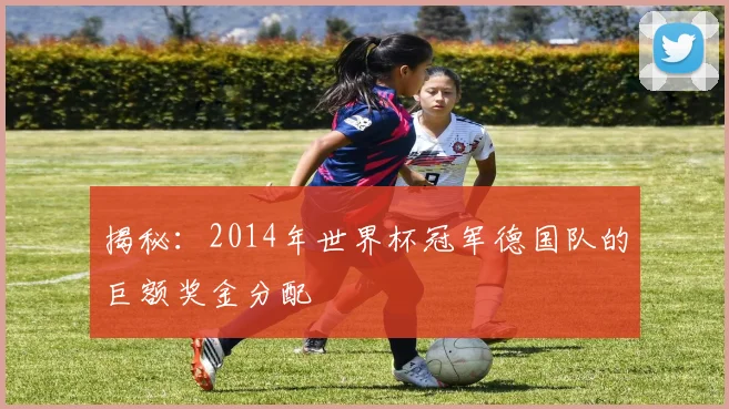 揭秘：2014年世界杯冠军德国队的巨额奖金分配
