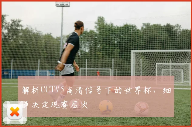 解析CCTV5高清信号下的世界杯，细节决定观赛层次