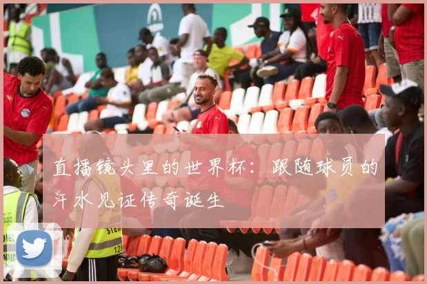 直播镜头里的世界杯:跟随球员的汗水见证传奇诞生