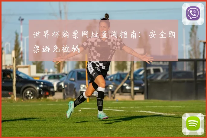 世界杯购票网址查询指南：安全购票避免被骗